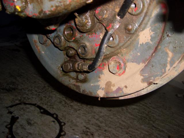 CIMG0589.JPG